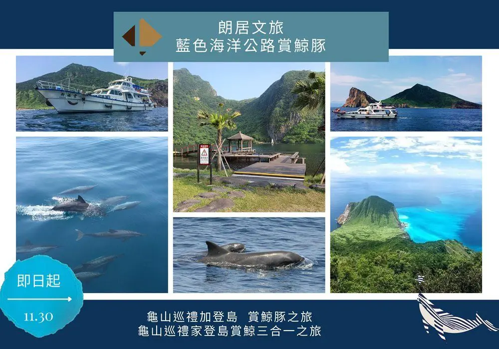 朗居文旅▸ 帶朗客賞鯨趣